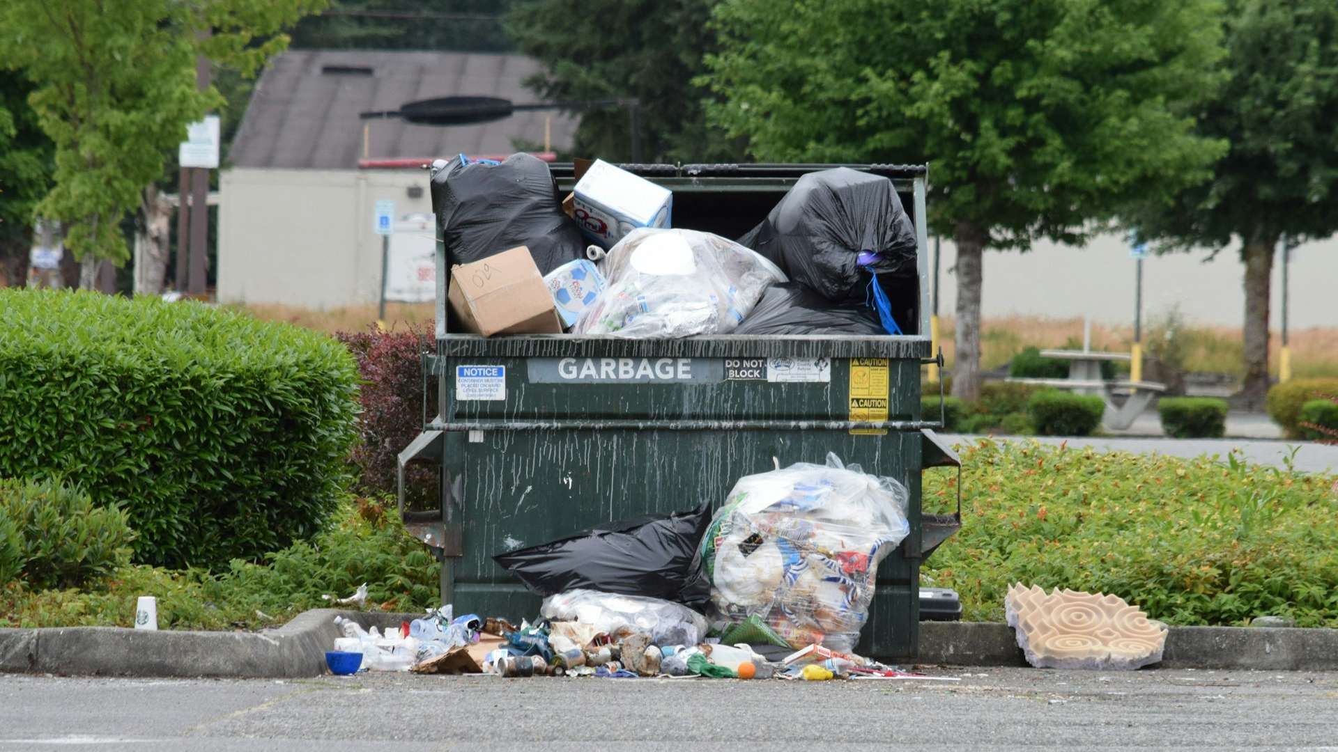 Junk removal services in Beverly Hills, CA